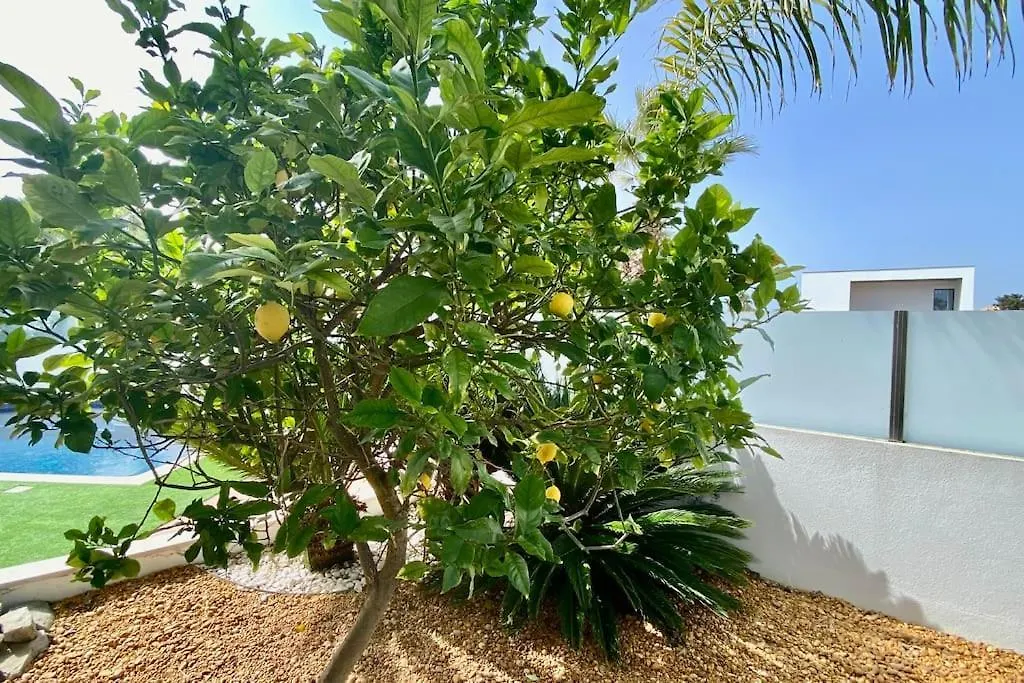 Villa Limoeiro - Beautiful New Home Nestled In The Heart Of Gale Guia  Guia (Faro)